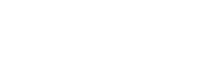 BIP-Logo